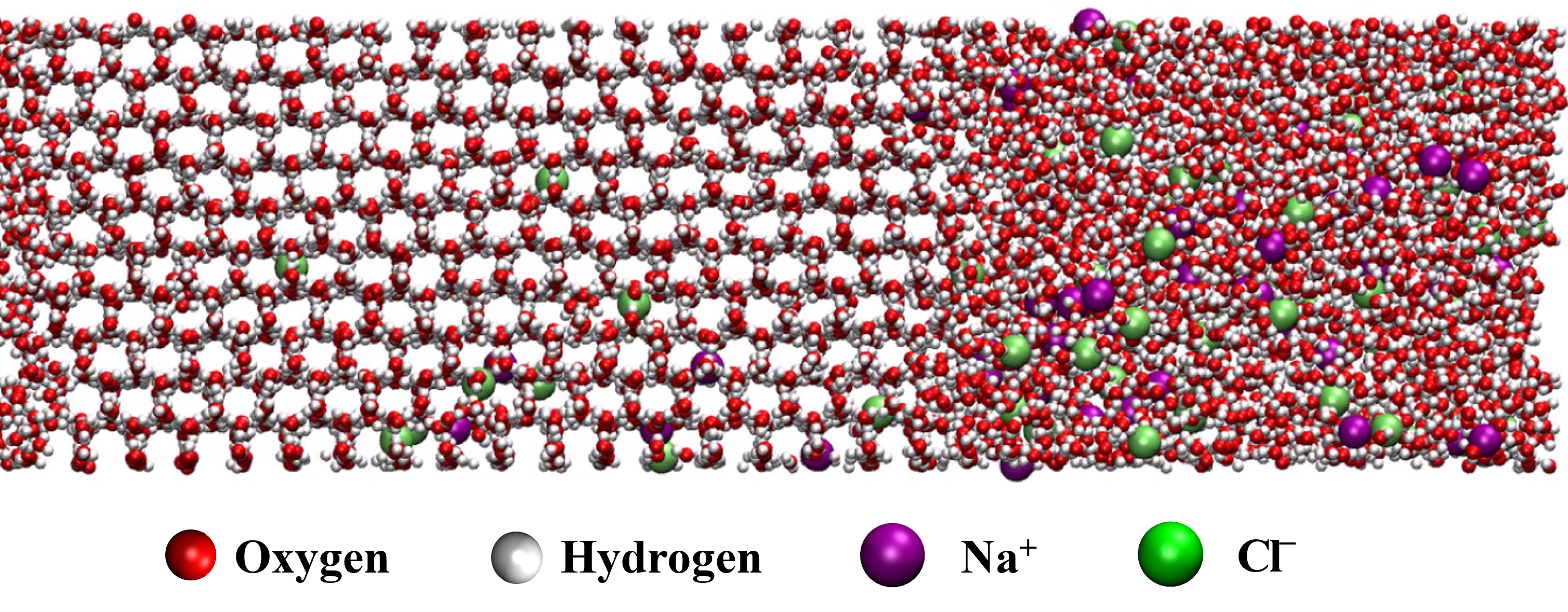 Technology image for TT-0081