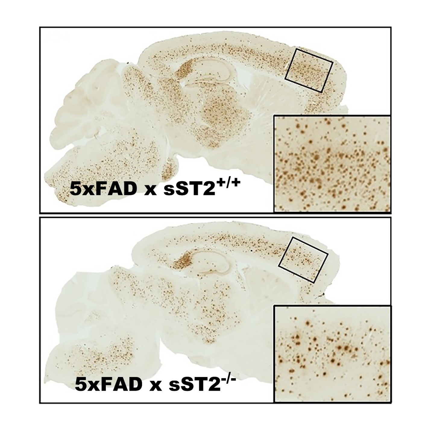 Technology image for TT-0108